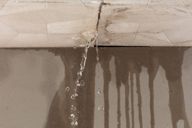 Professional Structural Drying technician working in Wallis, TX